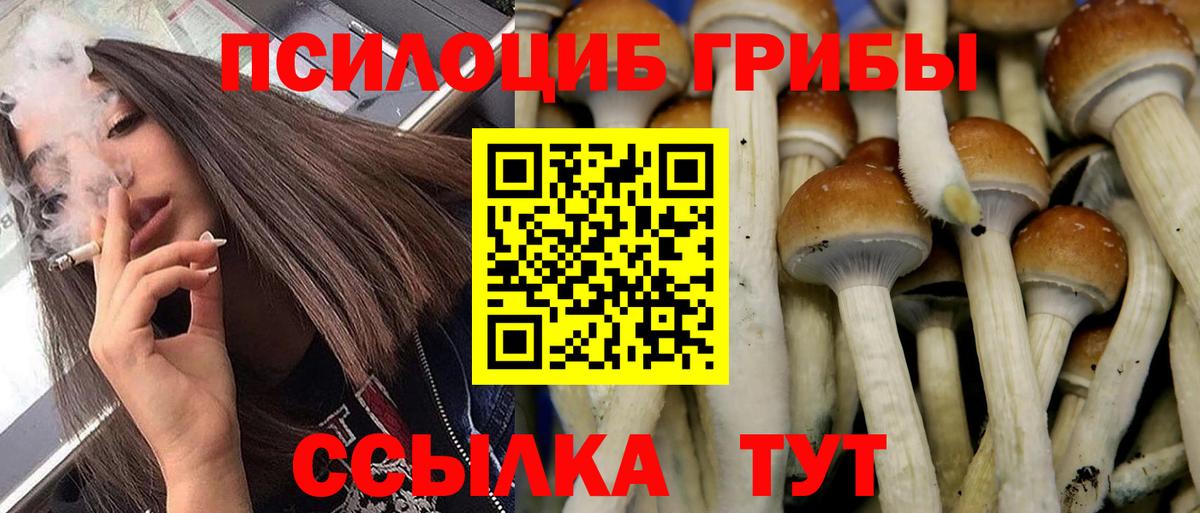 Псилоцибиновые грибы прущие грибы  Вход с VPN  Галлюциногенные грибы мухоморы  Невинномысск 
