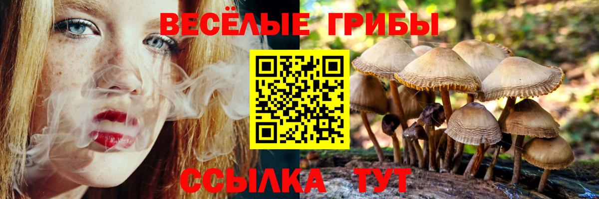 Галлюциногенные грибы MAGIC MUSHROOMS Невинномысск